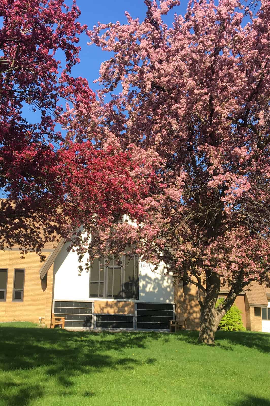 The Congregation President’s Update