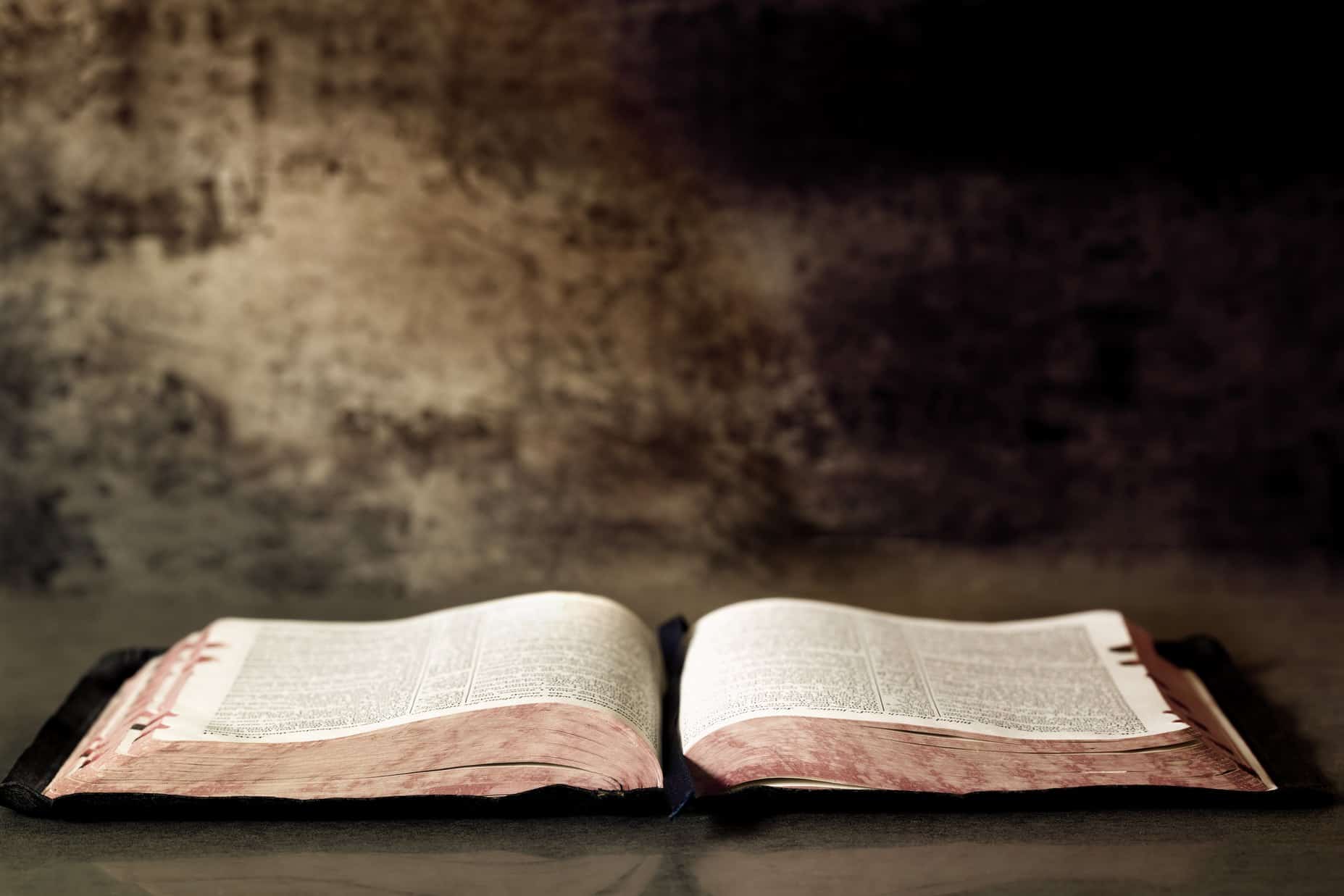 God’s story is shaping our life together.
