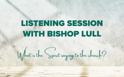 Synod Listening Sessions