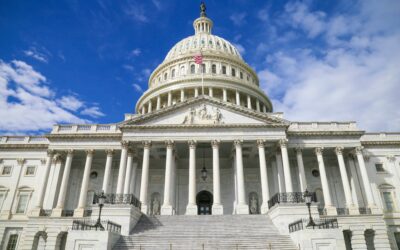 Lutherans in an Election Year – Where Do We Stand?