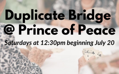 Saturday Bridge