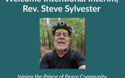 Welcome to Intentional Interim Rev. Steve Sylvester