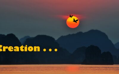 Creation…