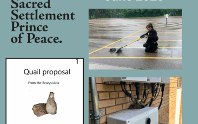 Sacred Settlement Update