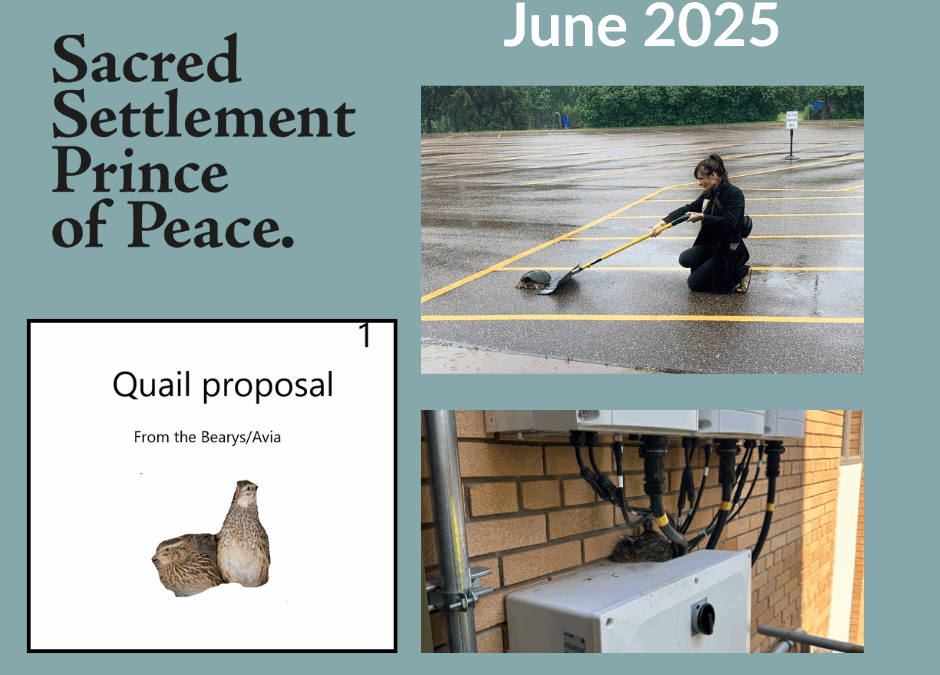 Sacred Settlement Update