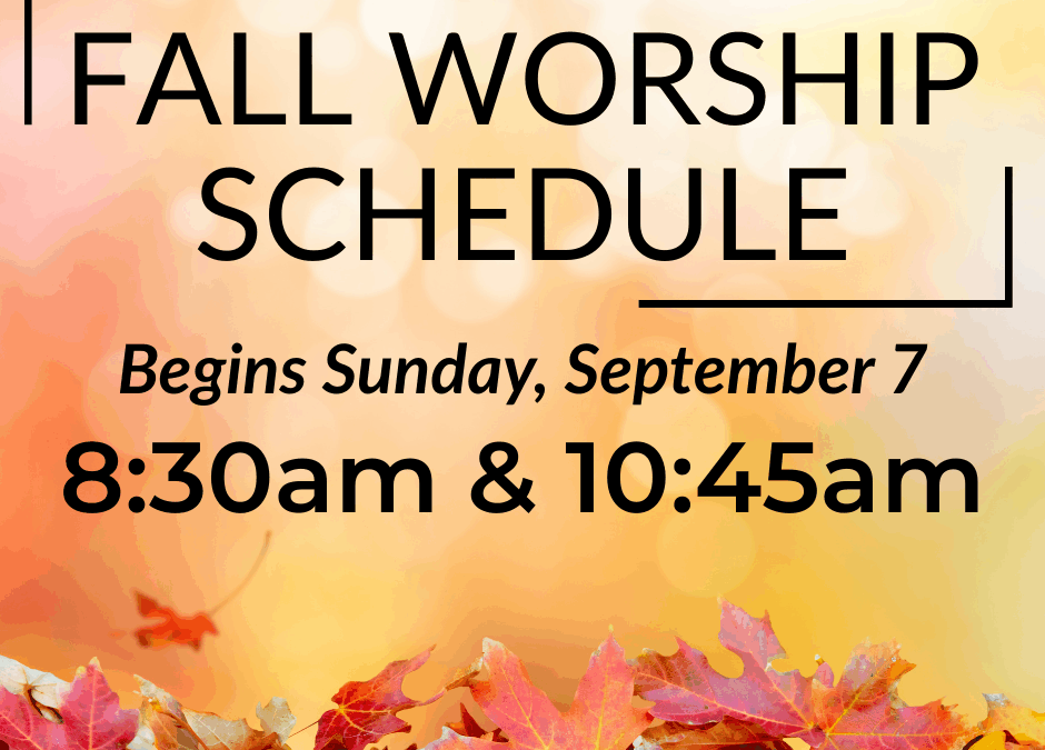 What To Expect Sunday Mornings