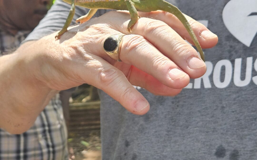 Tanzania Travel Blog: September 25, 2025