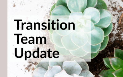 Transition Team Update