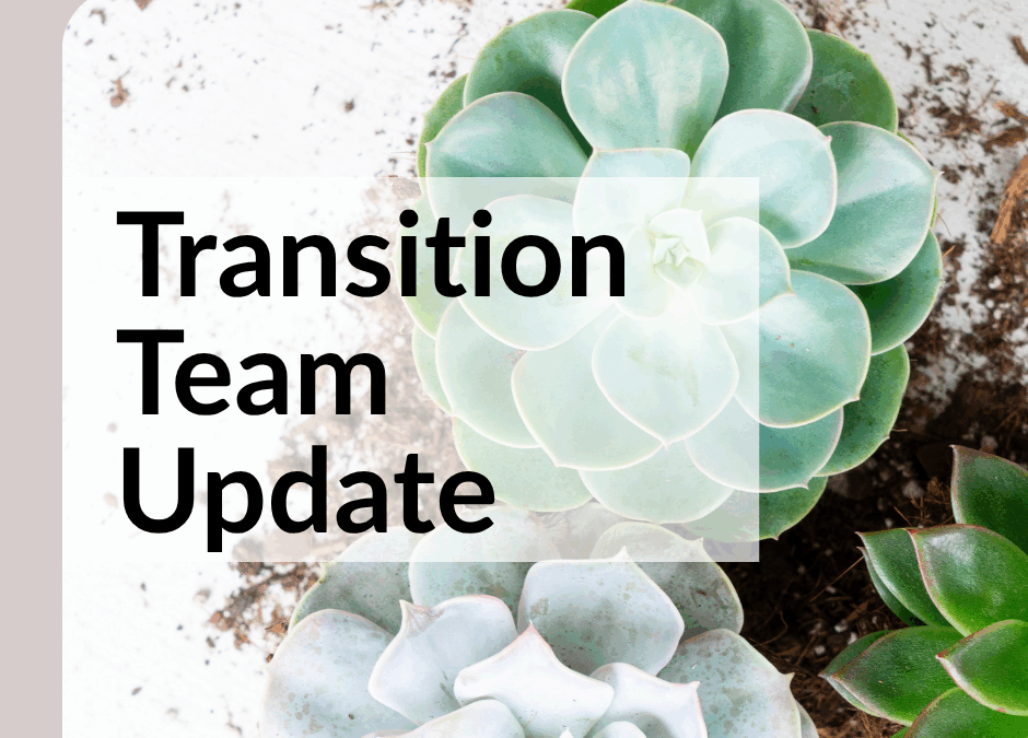 Transition Team Update