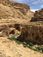 What are you doing, Elijah?