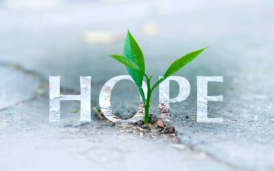 Invited to Hope