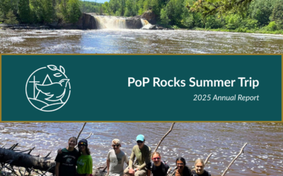 PoP Rocks Summer Trip