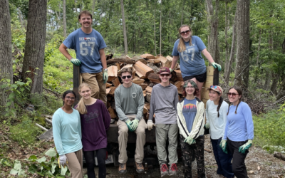 Chopping Wood – More Than Just a Workout!!
