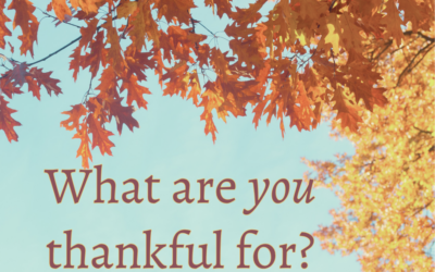 What are you thankful for?